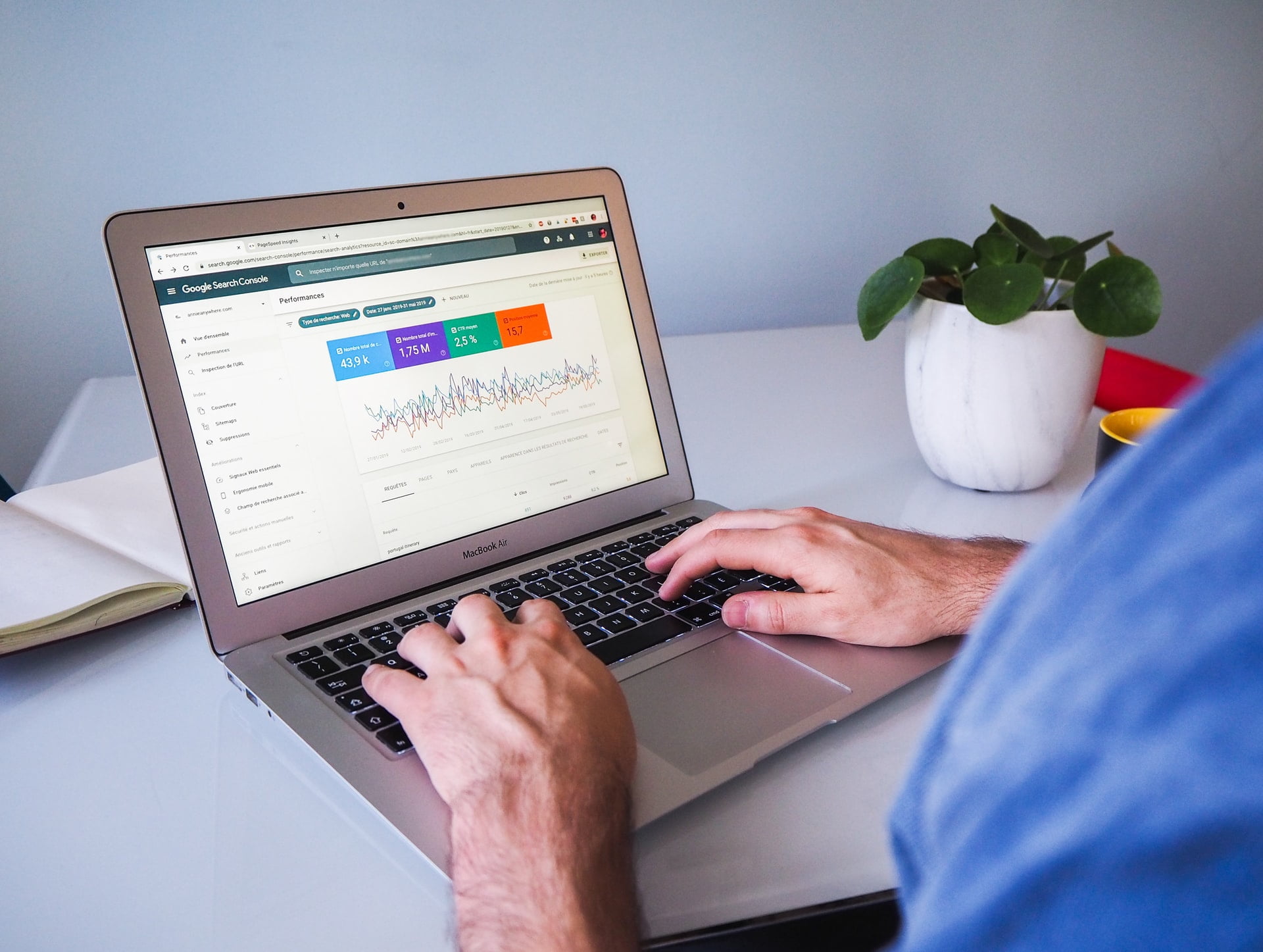 SEO insights