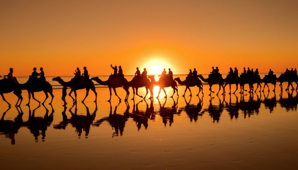 Camel ride along Cable Beach sunset